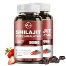 SHILAJIT GUMMIES - VITALIDAD NATURAL SIN LÍMITES EN SOLO UNA GOMITA